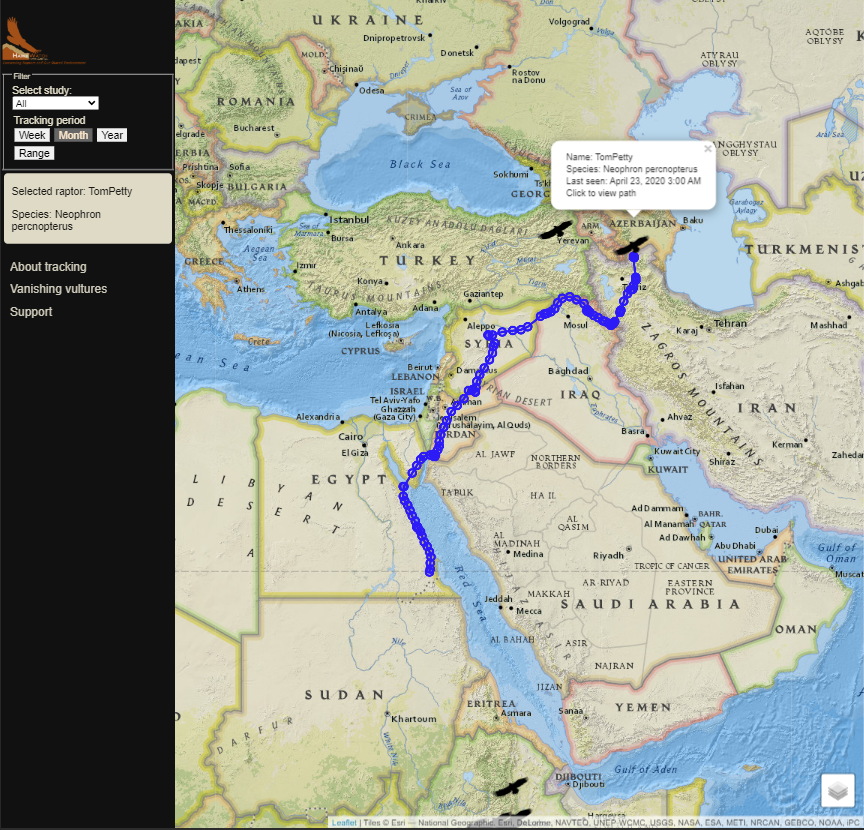 Raptor tracker app screenshot